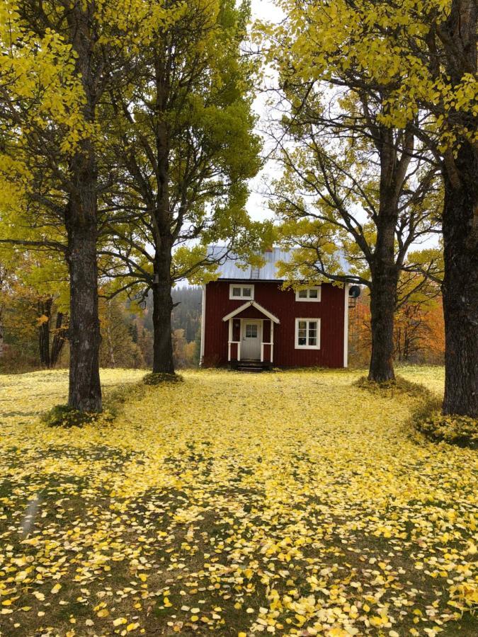 Valagardens Vaerdshus Och Camping Ab Vålådalen Exteriér fotografie