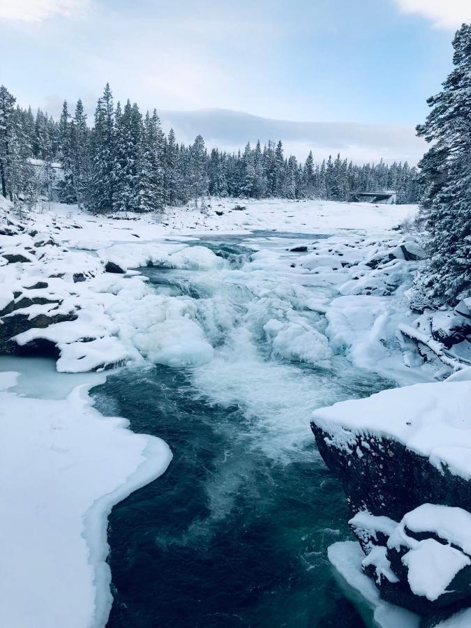 Valagardens Vaerdshus Och Camping Ab Vålådalen Exteriér fotografie