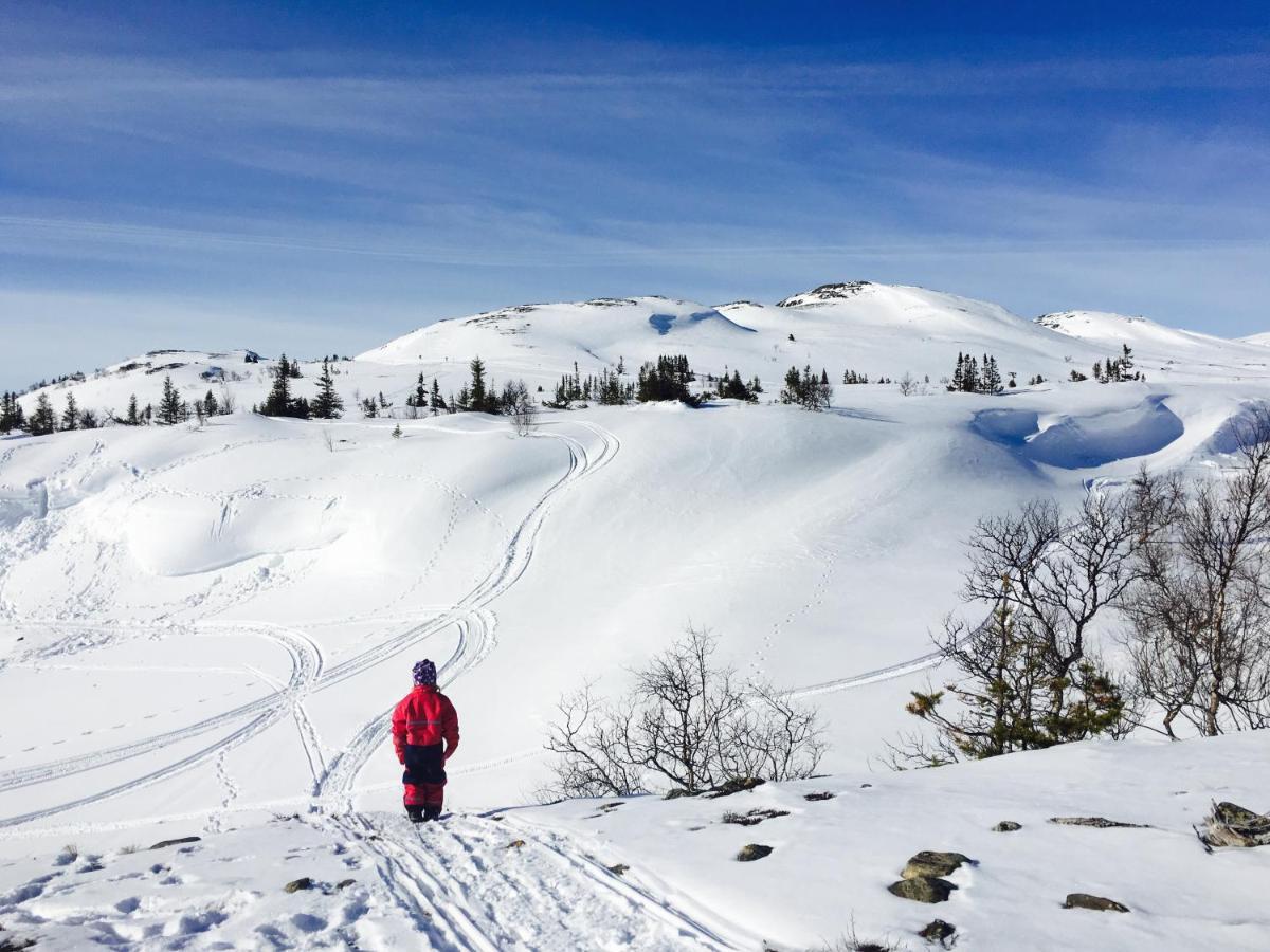 Valagardens Vaerdshus Och Camping Ab Vålådalen Exteriér fotografie